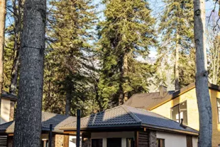 Отель "Ski Resort" / "Ски Резорт"